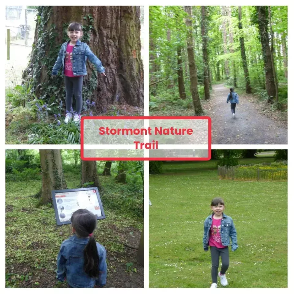 Dundela Infants' School and Nursery Unit Nature trail