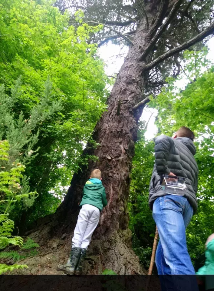 Dundela Infants' School and Nursery Unit discovering nature