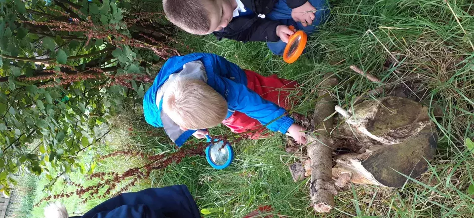 Killylea PS logs