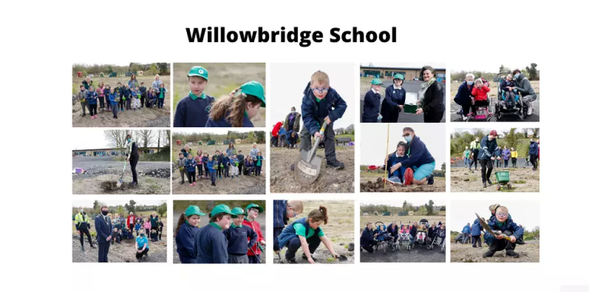 Willowbridge School Collage